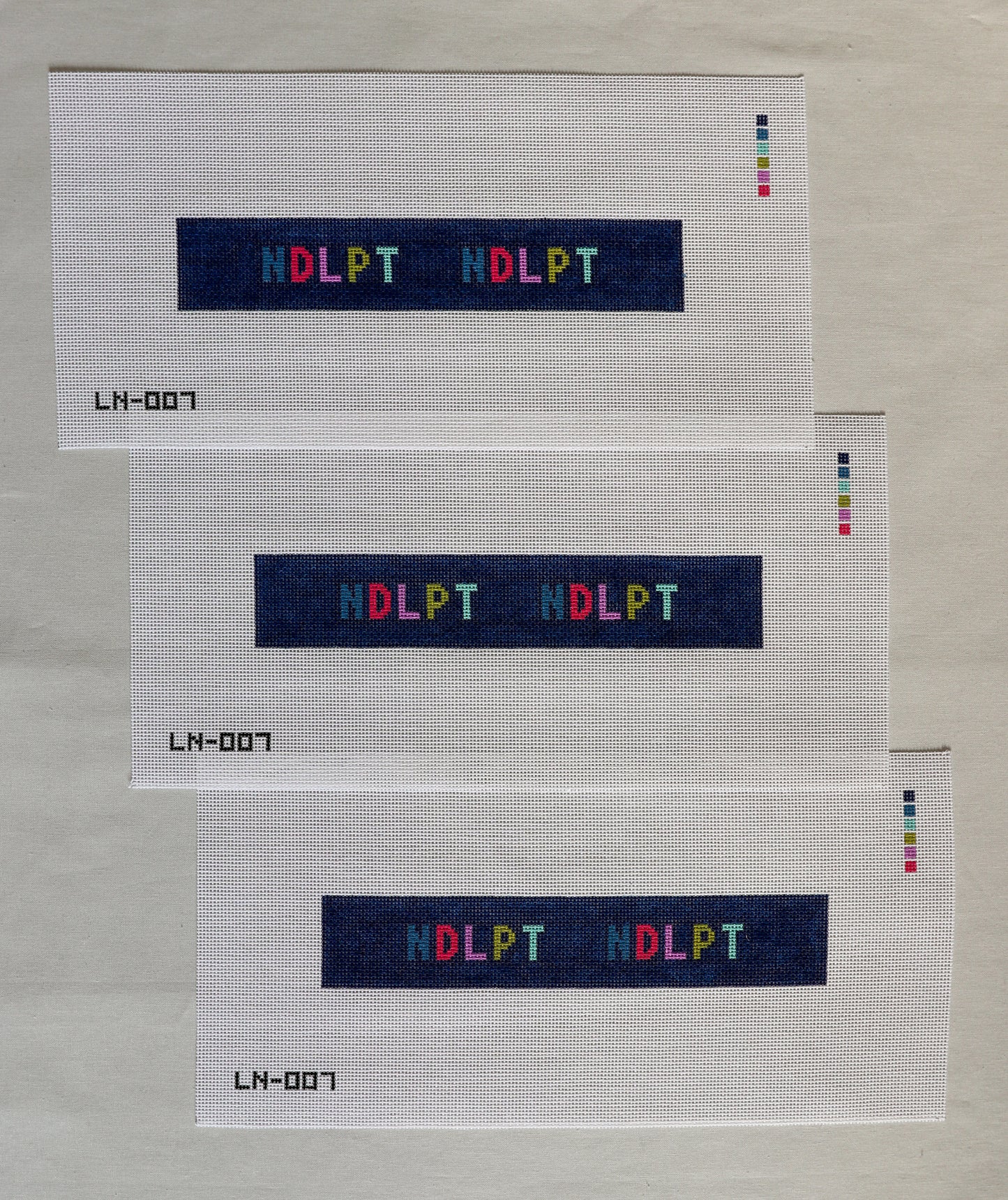 NDLPT Key Chain
